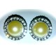 Round Pearl In Clear Surround Earrings